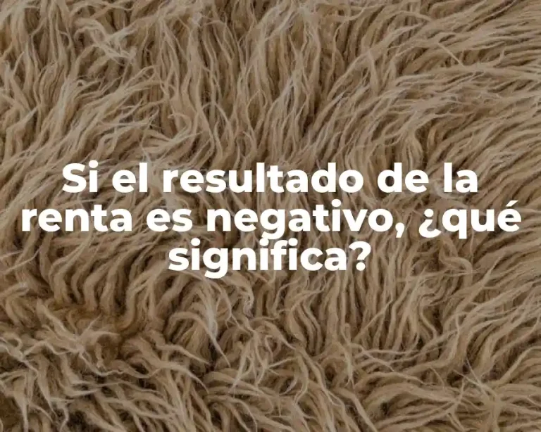 Si el resultado de la renta es negativo, ¿qué significa?