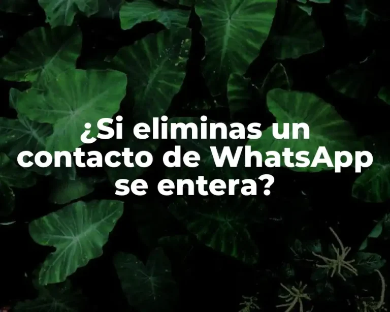 ¿Si eliminas un contacto de WhatsApp se entera?