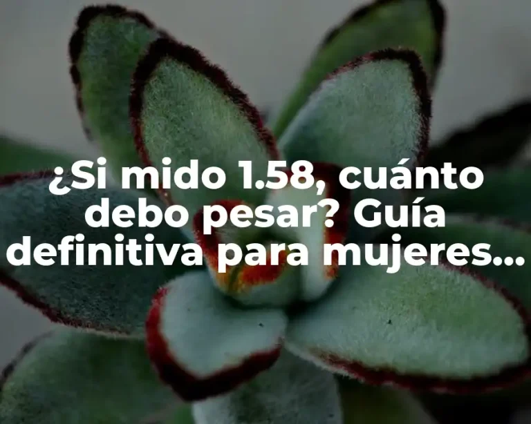 ¿Si mido 1.58, cuánto debo pesar? Guía definitiva para mujeres de baja estatura.
