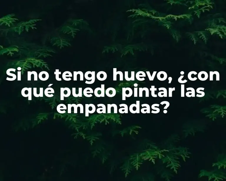 Si no tengo huevo, ¿con qué puedo pintar las empanadas?