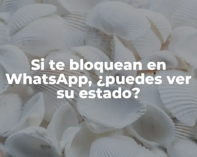 Si te bloquean en WhatsApp, ¿puedes ver su estado?