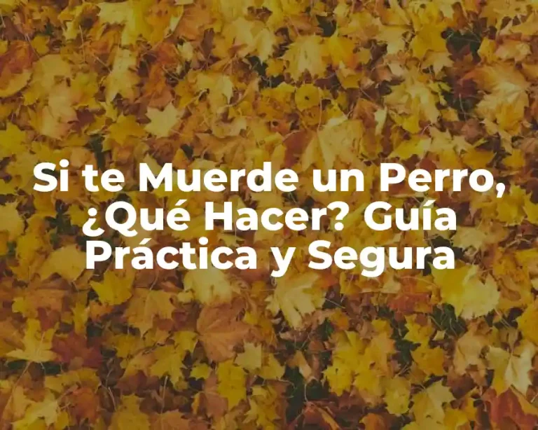 Si te Muerde un Perro, ¿Qué Hacer? Guía Práctica y Segura