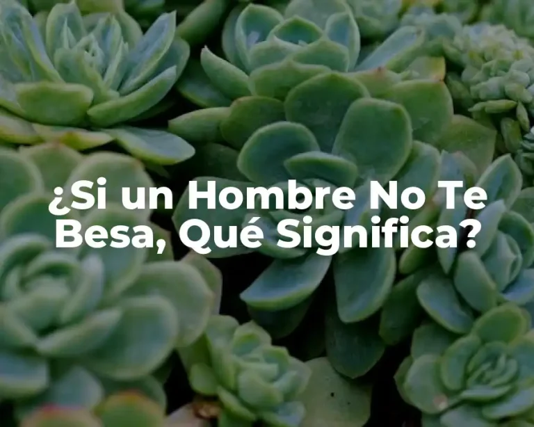¿Si un Hombre No Te Besa, Qué Significa?