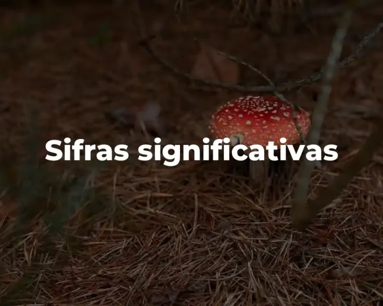 Sifras significativas