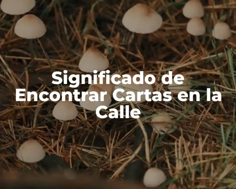 Significado de Encontrar Cartas en la Calle