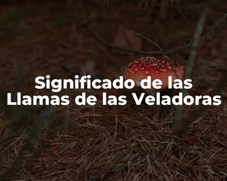 Significado de las Llamas de las Veladoras