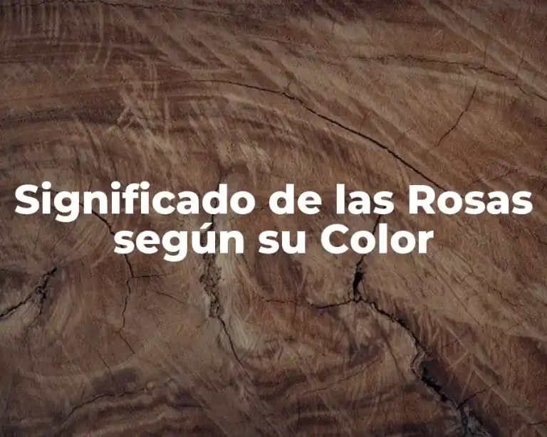 Significado de las Rosas según su Color