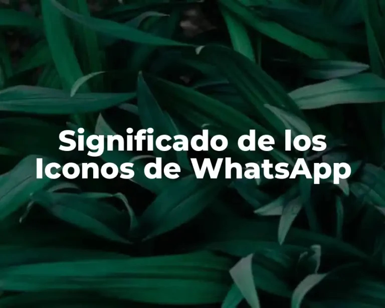 Significado de los Iconos de WhatsApp