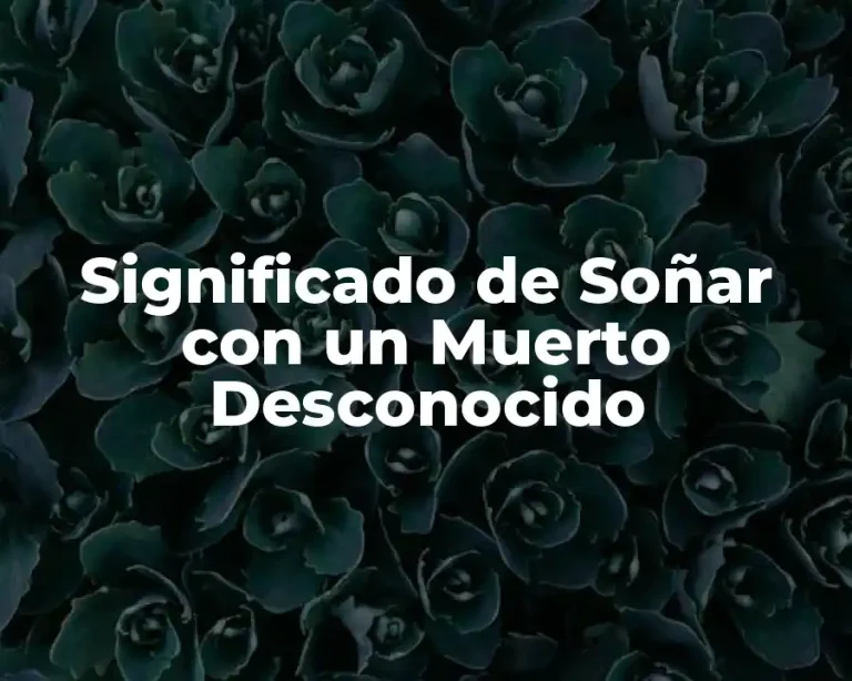 Significado de Soñar con un Muerto Desconocido