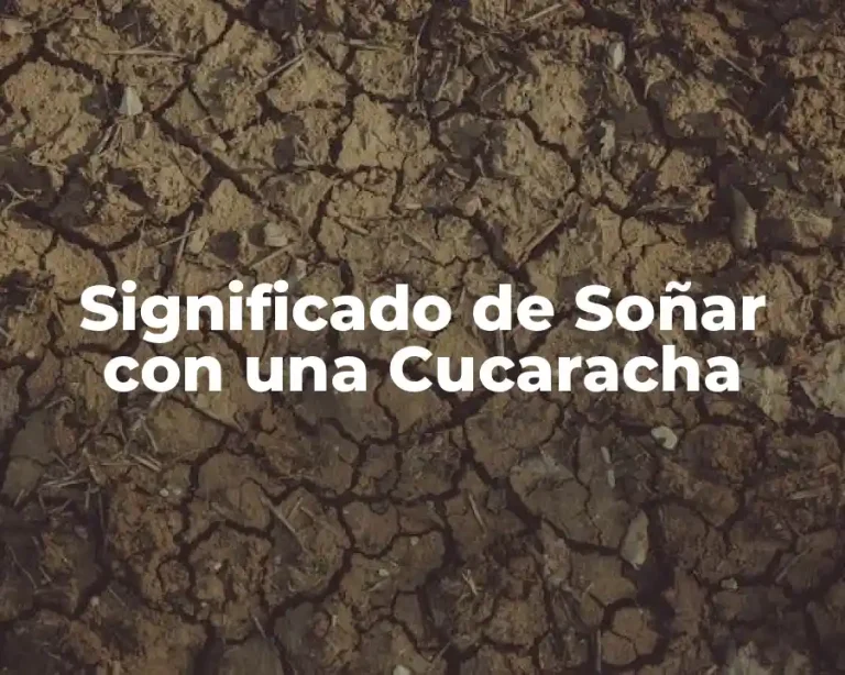 Significado de Soñar con una Cucaracha