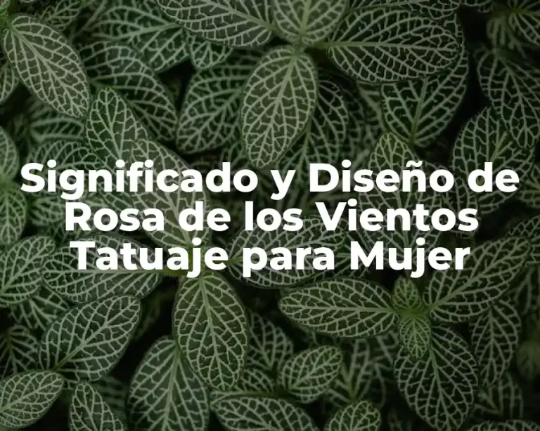 Significado y Diseño de Rosa de los Vientos Tatuaje para Mujer