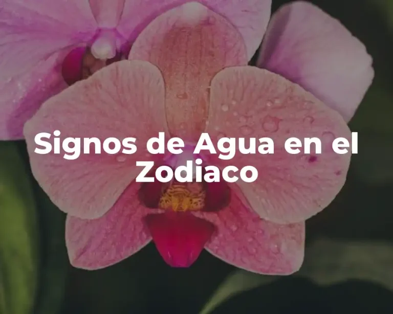 Signos de Agua en el Zodiaco