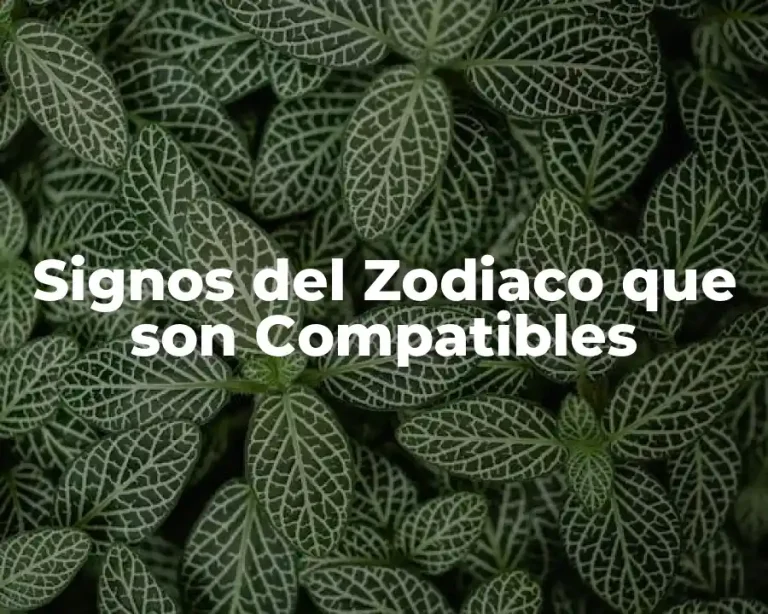 Signos del Zodiaco que son Compatibles