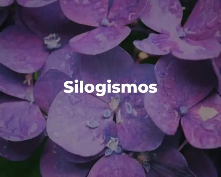 Silogismos