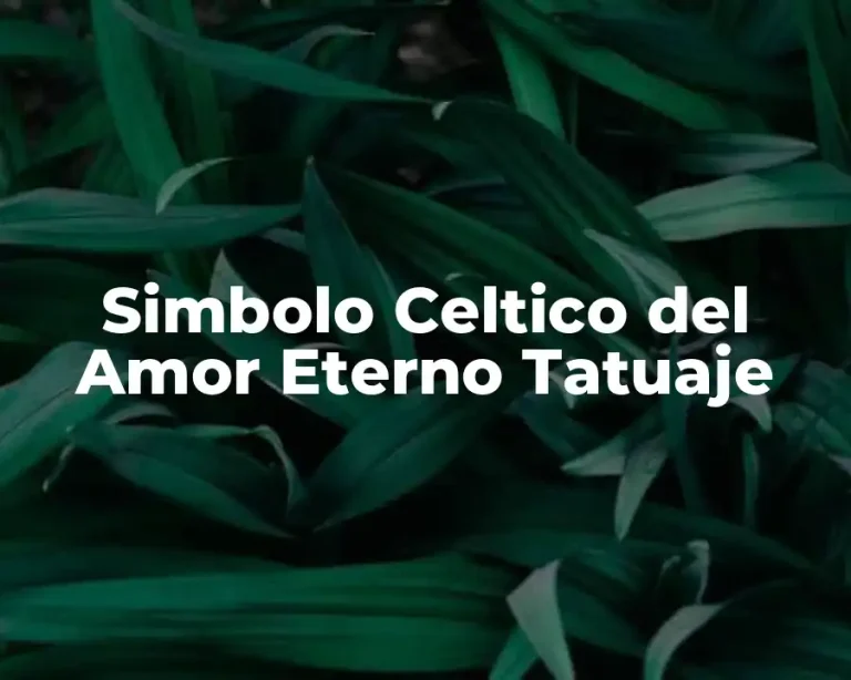 Simbolo Celtico del Amor Eterno Tatuaje