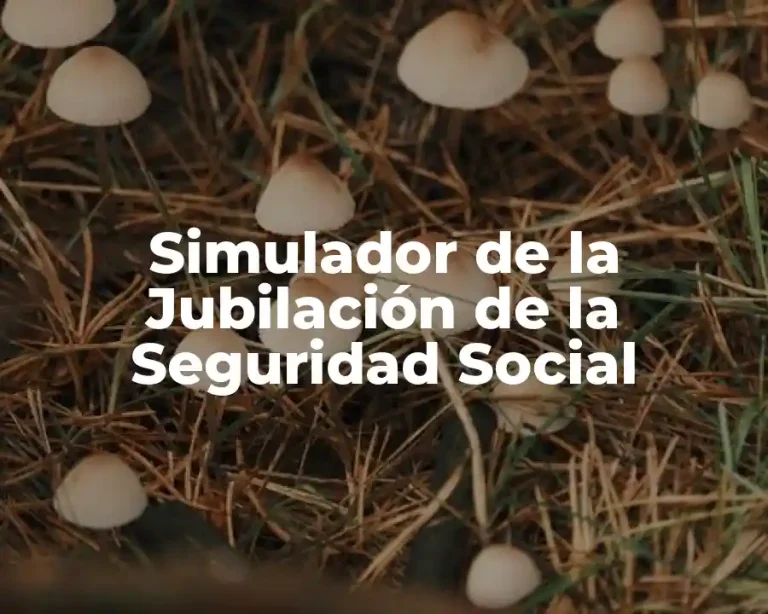 Simulador de la Jubilación de la Seguridad Social