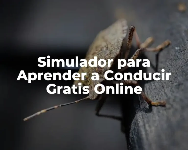 Simulador para Aprender a Conducir Gratis Online
