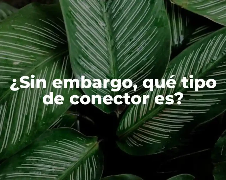 ¿Sin embargo, qué tipo de conector es?