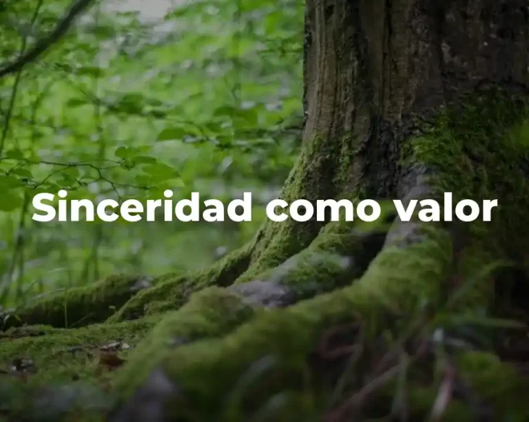 Sinceridad como valor