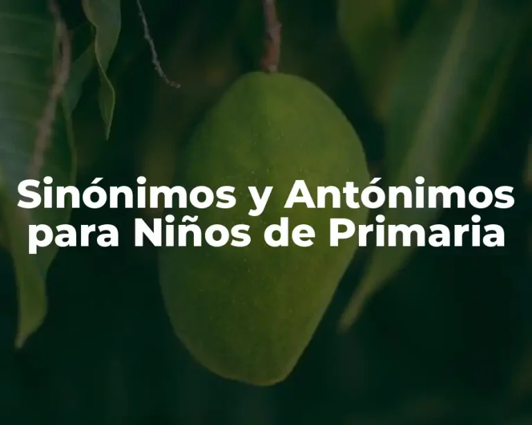 Sinónimos y Antónimos para Niños de Primaria