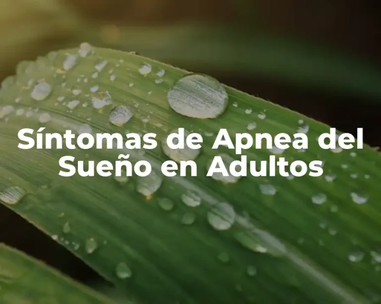 Síntomas de Apnea del Sueño en Adultos