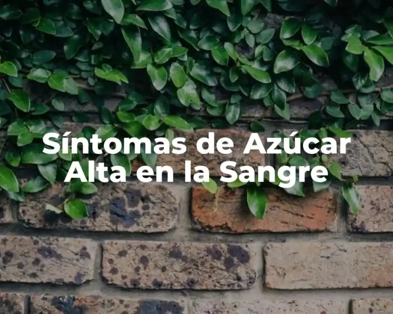 Síntomas de Azúcar Alta en la Sangre