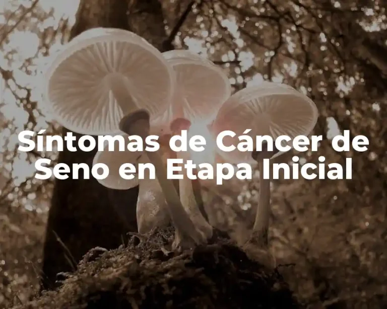 Síntomas de Cáncer de Seno en Etapa Inicial