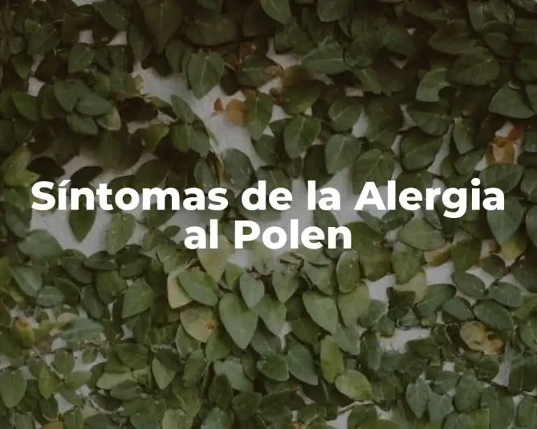 Síntomas de la Alergia al Polen