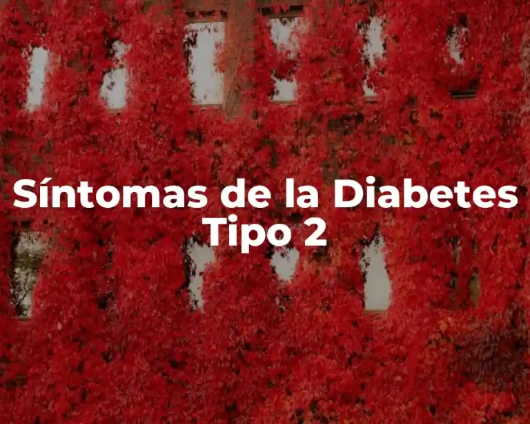 Síntomas de la Diabetes Tipo 2
