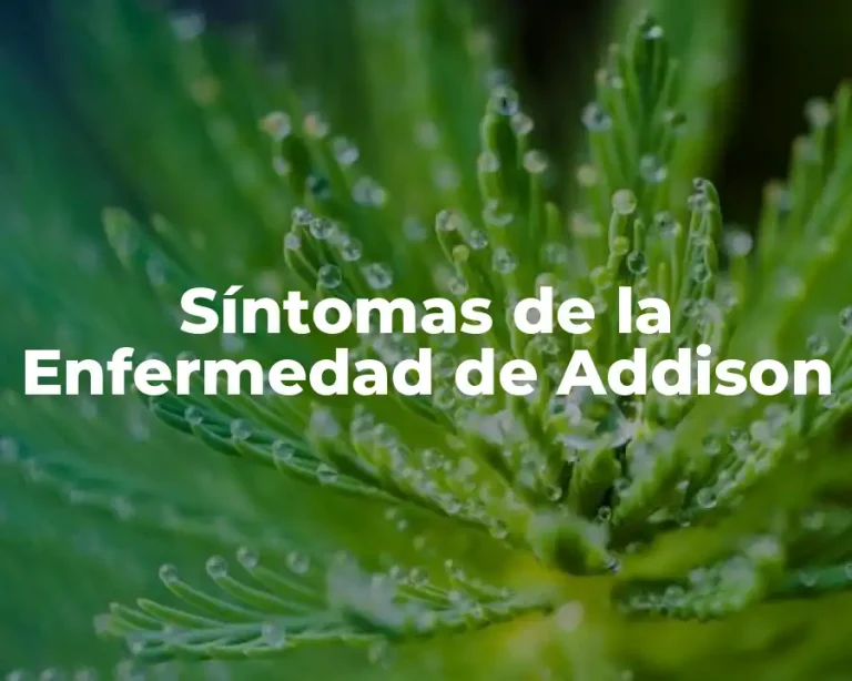 Síntomas de la Enfermedad de Addison