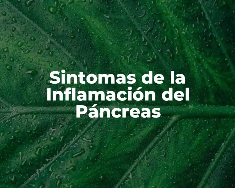 Sintomas de la Inflamación del Páncreas