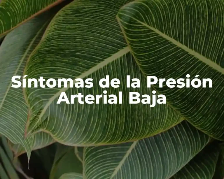 Síntomas de la Presión Arterial Baja