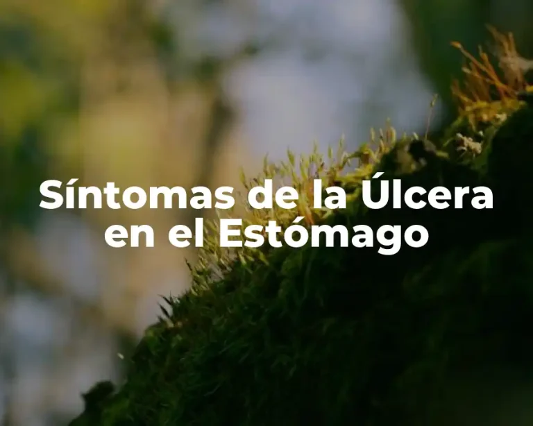Síntomas de la Úlcera en el Estómago