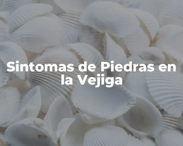 Sintomas de Piedras en la Vejiga