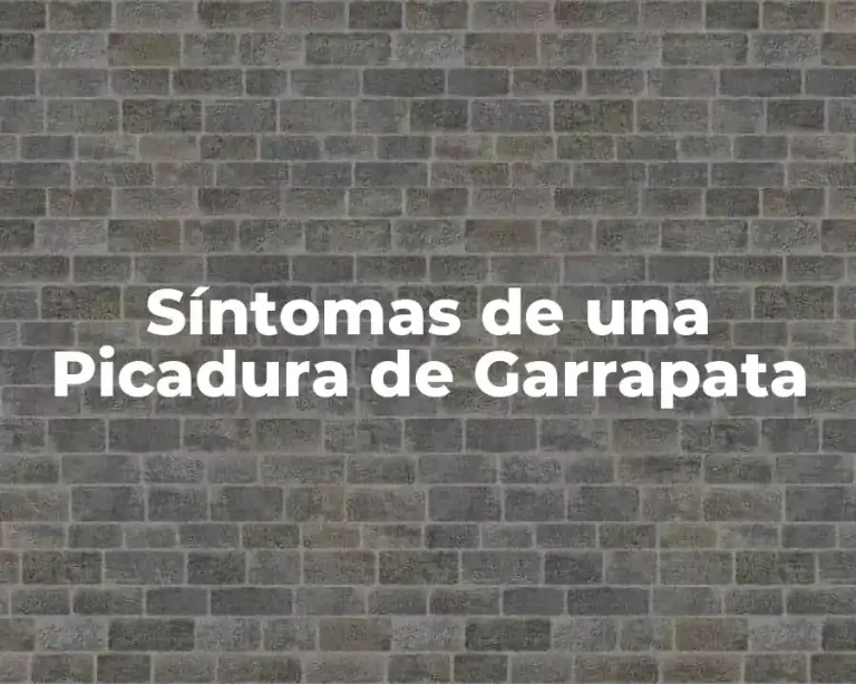 Síntomas de una Picadura de Garrapata