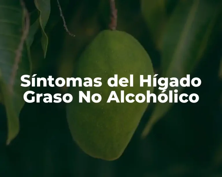 Síntomas del Hígado Graso No Alcohólico
