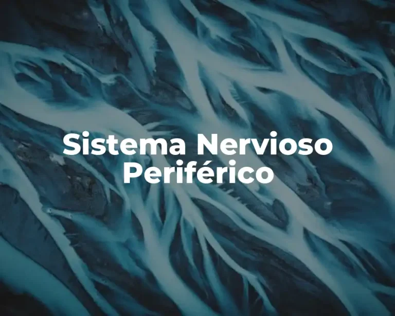 Sistema Nervioso Periférico
