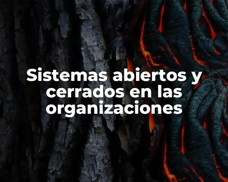 Sistemas abiertos y cerrados en las organizaciones