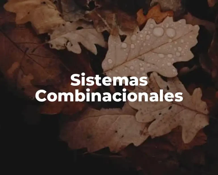 Sistemas Combinacionales