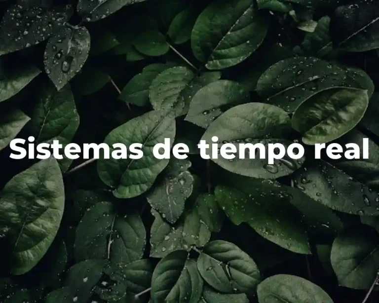 Sistemas de tiempo real