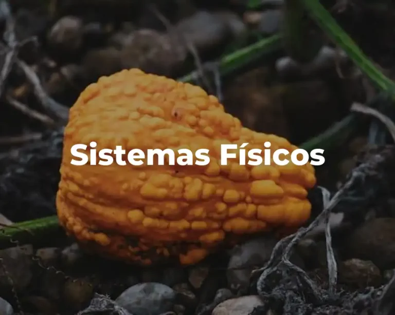 Sistemas Físicos