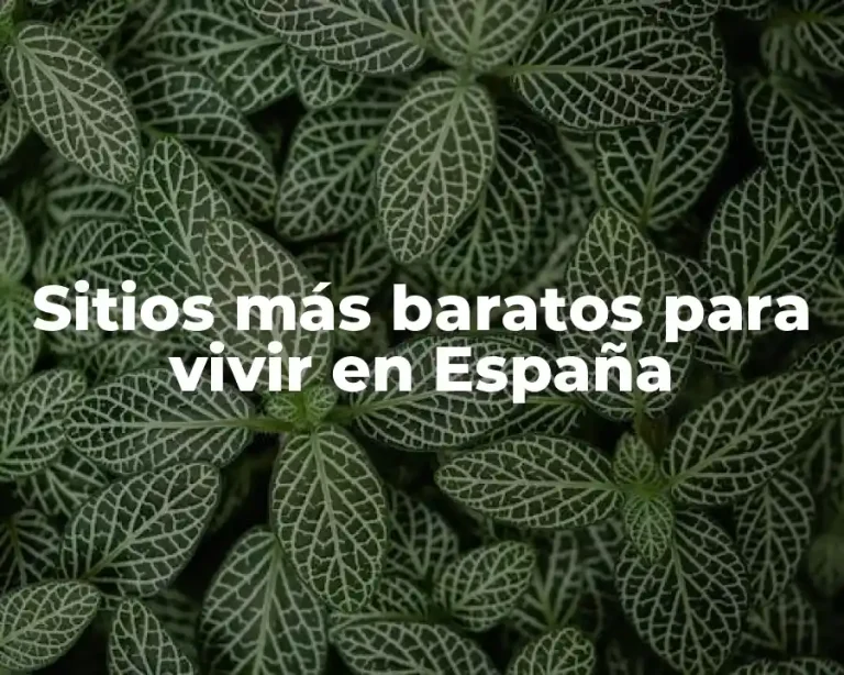 Sitios más baratos para vivir en España