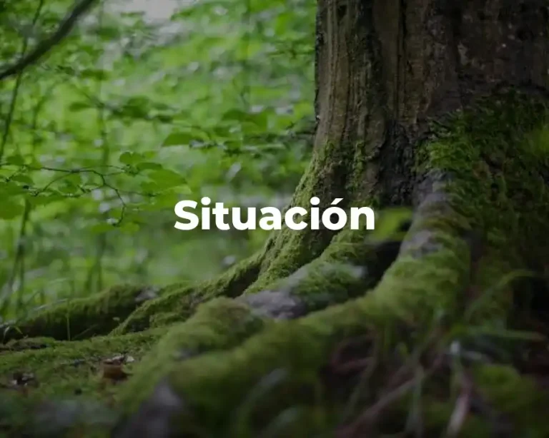 Situación