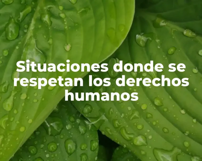 Situaciones donde se respetan los derechos humanos
