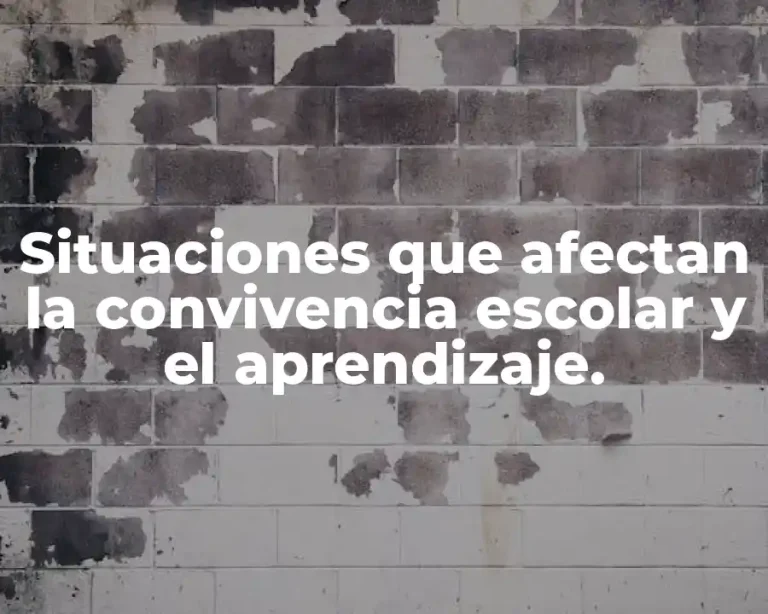 Situaciones que afectan la convivencia escolar y el aprendizaje.