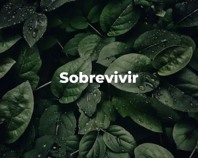 Sobrevivir