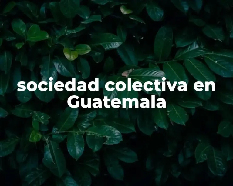 sociedad colectiva en Guatemala