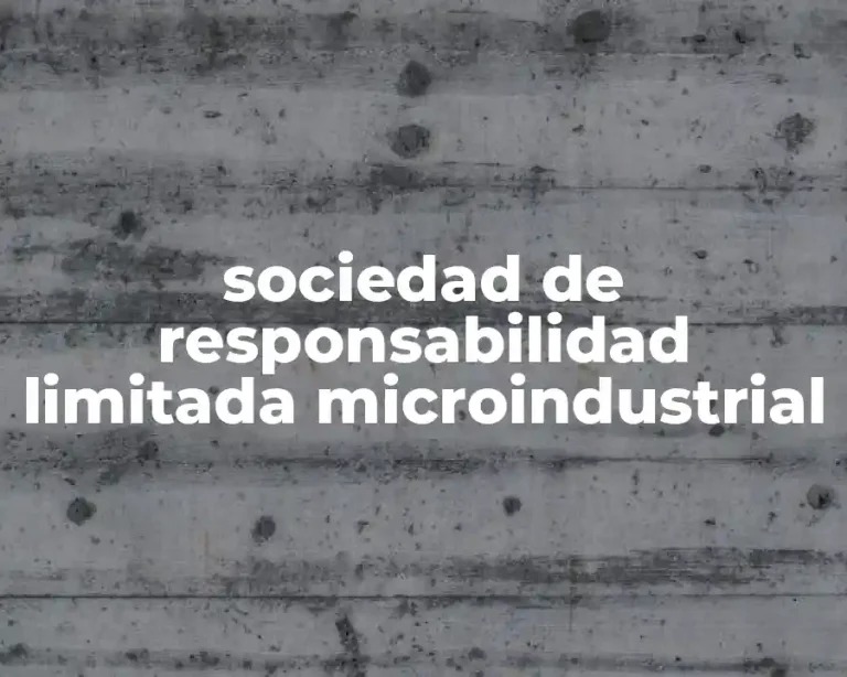 sociedad de responsabilidad limitada microindustrial