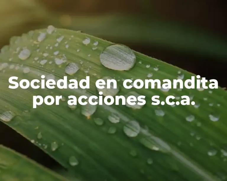 Sociedad en comandita por acciones s.c.a.