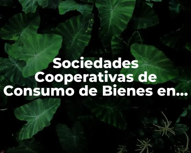 Sociedades Cooperativas de Consumo de Bienes en México